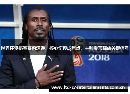 世界杯资格赛赛前速递，核心伤停成焦点，主帅发言释放关键信号