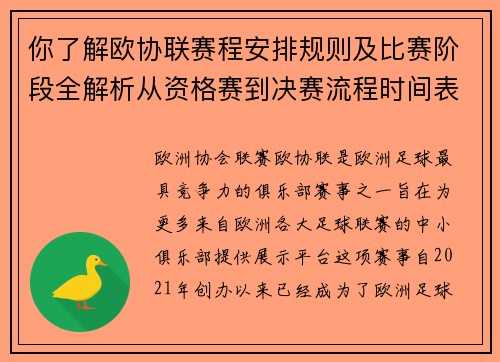 你了解欧协联赛程安排规则及比赛阶段全解析从资格赛到决赛流程时间表详解